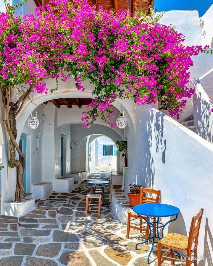 Villa Kavalli Paros Dhragoulas Ngoại thất bức ảnh